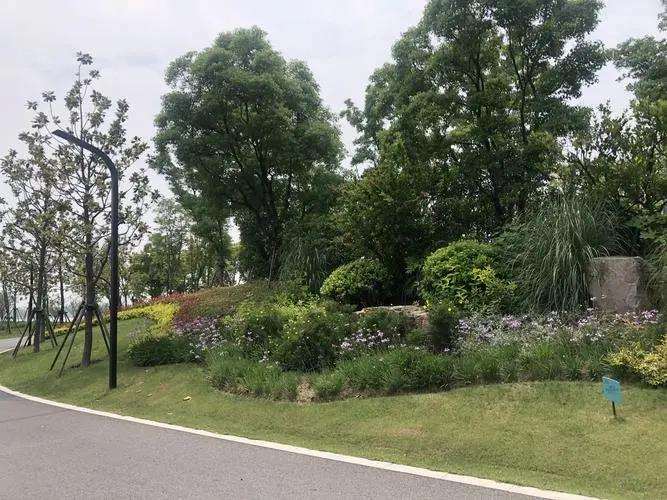 丽水市两湖公园花境植物的3个应用分析