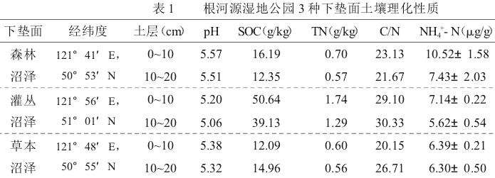 3种下垫面土壤理化性质