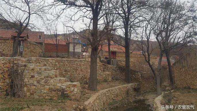 胶东地域文化在乡村景观设计中