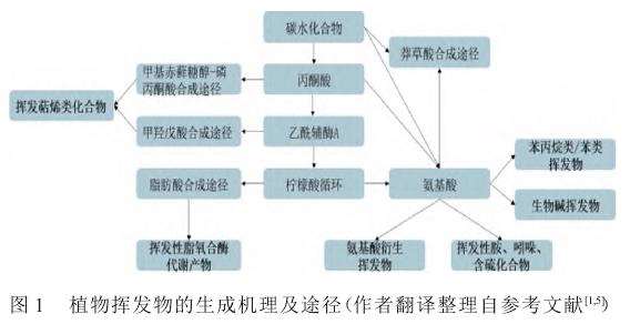 芳香植物挥发物成分影响因素的研究进展