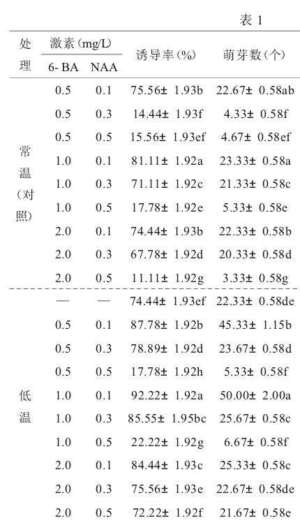 不同激素配比对芽诱导的影响