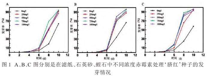 不同赤霉素浓度及播种基质对猕猴桃种子萌发的3个影响