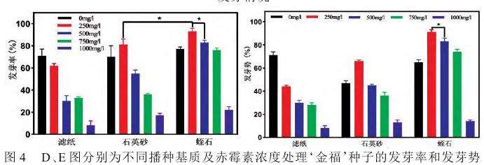 不同赤霉素浓度及播种基质对猕猴桃种子萌发