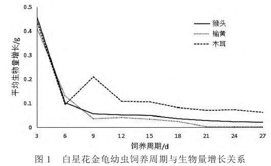 取食不同菌糠后白星花金龟幼虫生物量增长状况