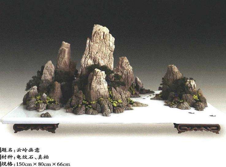 韦群杰盆景新作赏