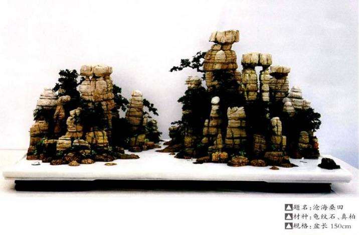 韦群杰盆景新作赏析 图片