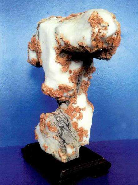 李振勇赏石艺术展在象山博物馆开展