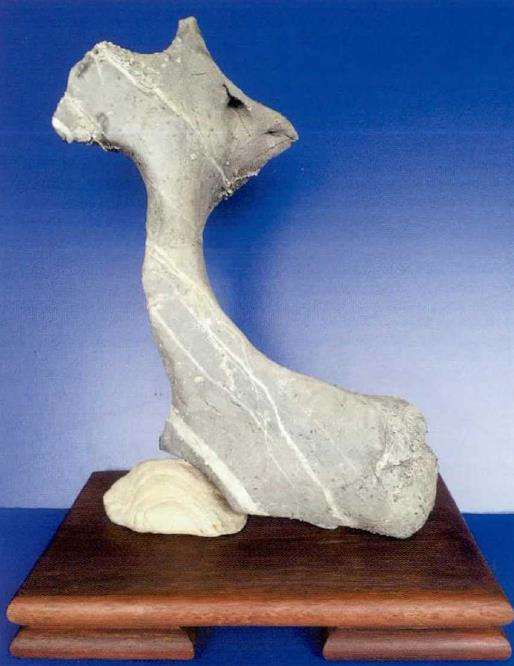 李振勇赏石艺术展在象山博物馆开展