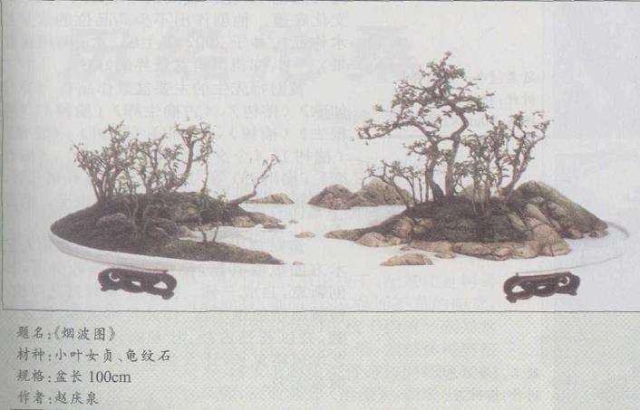 河南郑忠强再次讨论自然式盆景的创作特征