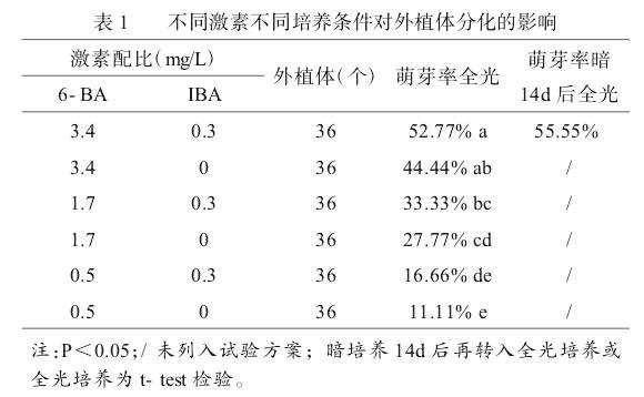 不同激素不同培养条件对外植体分化的影响
