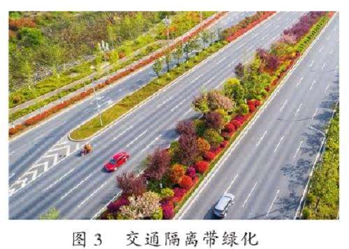 红叶石楠在园林绿化中的3个应用