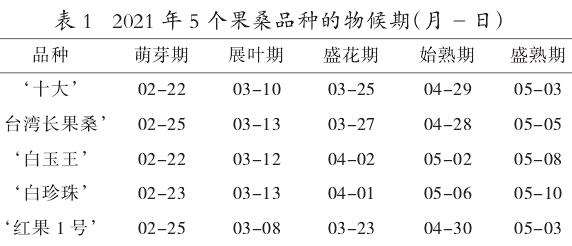 5个果桑品种在澧县的引种及栽培关键技术