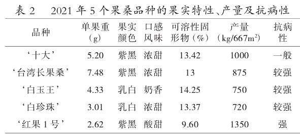 5个果桑品种在澧县的引种及栽培关键技术