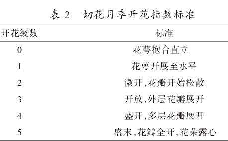 84消毒液对切花月季卡罗拉瓶插保鲜效果的影响