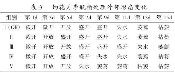 84消毒液对切花月季卡罗拉瓶插保鲜效果的影响