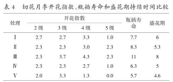 84消毒液对切花月季卡罗拉瓶插保鲜效果的影响