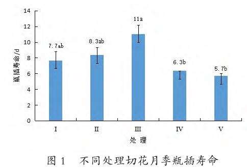 不同处理对切花月季瓶插寿命的影响