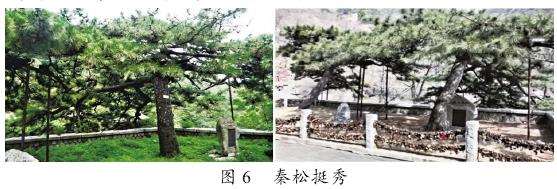 八景文化中植物的场所氛围意境营造方法