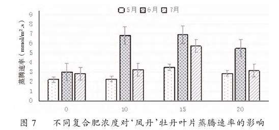 不同复合肥施用量对凤丹牡丹光合特性的