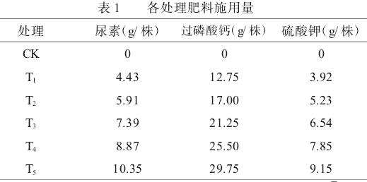 不同施肥量对甘孜州干旱河谷黑土豆产量和品质的影响