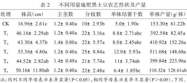 施肥量对黑土豆农艺性状与产量的影响