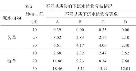 植物基底部分枝情况分析