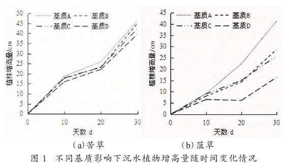 植株高度情况分析