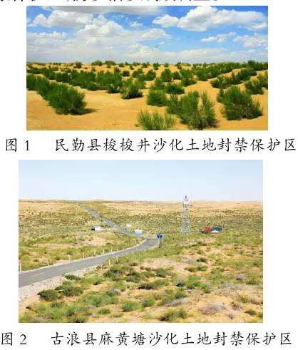 甘肃地区土地沙化现状形成原因及防沙治沙措施