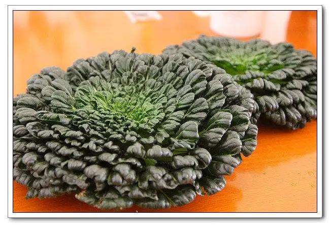 观赏菜在园林景观中的5个应用