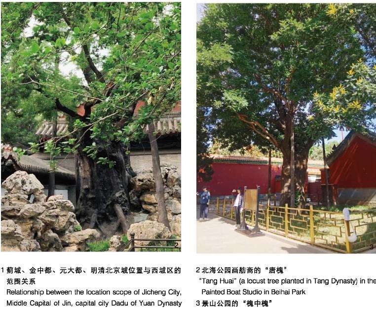 北京西城区花园城市建设路径探索