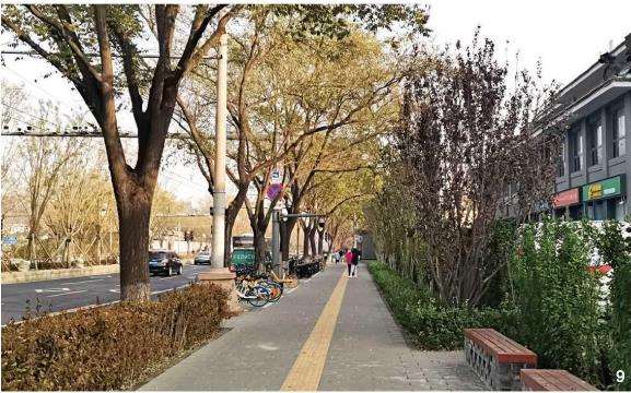 北京西城区花园城市建设路径探索