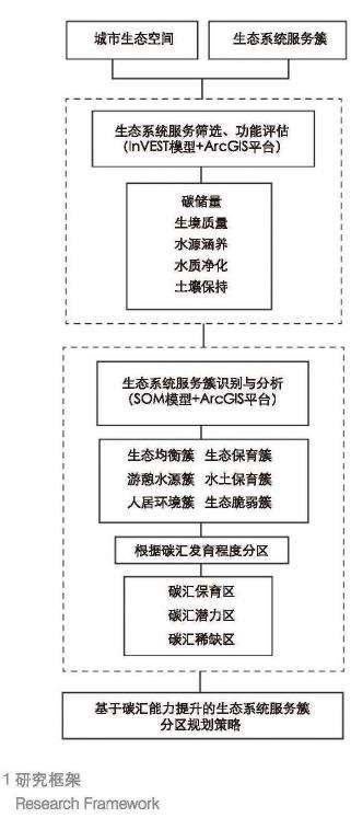 研究思路与框架