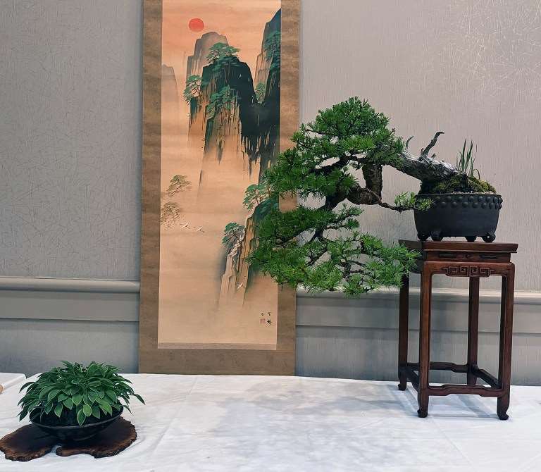 2024年春季 美国大西洋中部盆景协会展