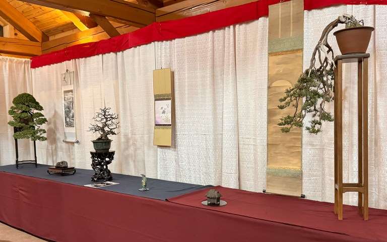 2024年纽约上州盆景协会 2月份的会议