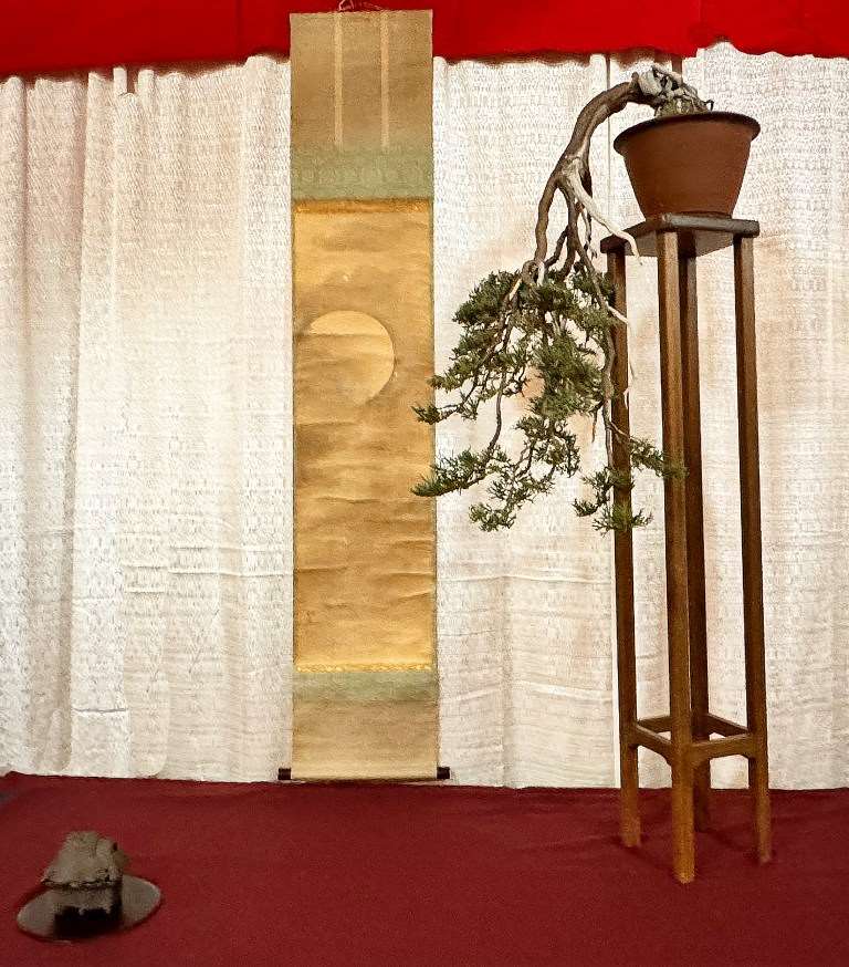 2024年纽约上州盆景协会 2月份的会议