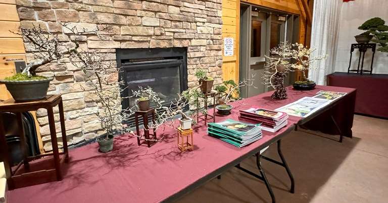 2024年纽约上州盆景协会 2月份的会议