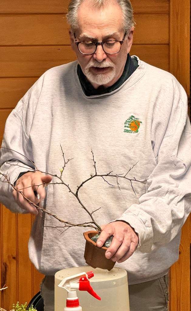 2024年纽约上州盆景协会 2月份的会议