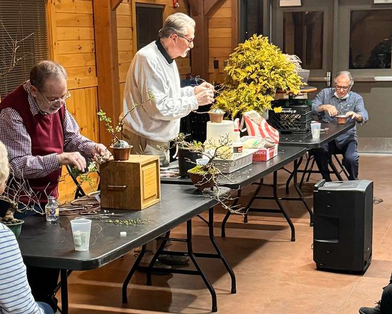 2024年纽约上州盆景协会 2月份的会议