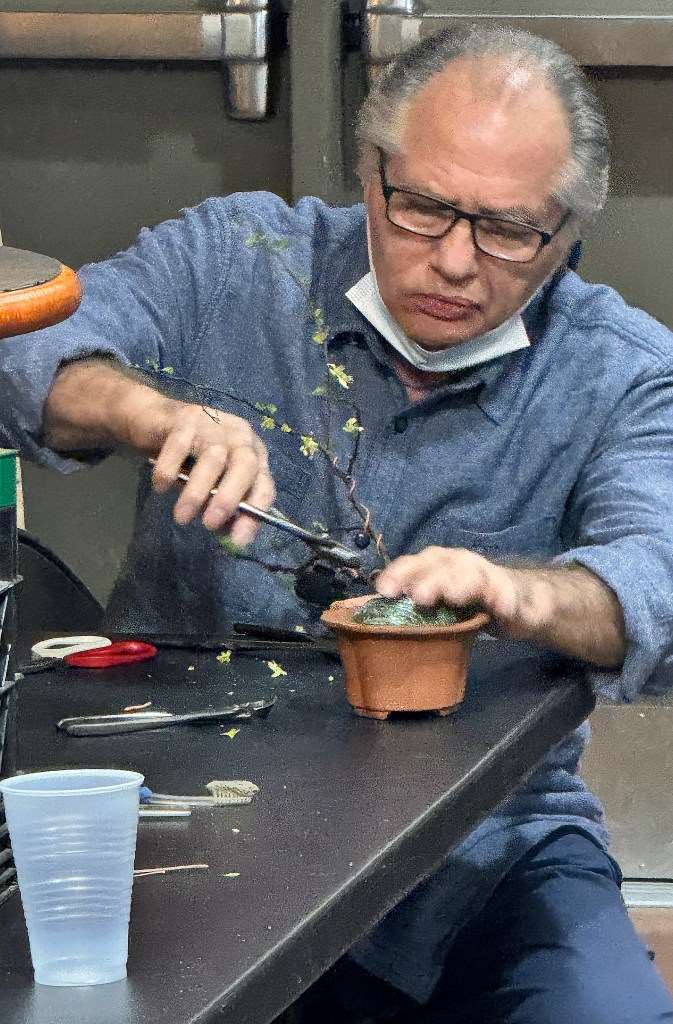 2024年纽约上州盆景协会 2月份的会议