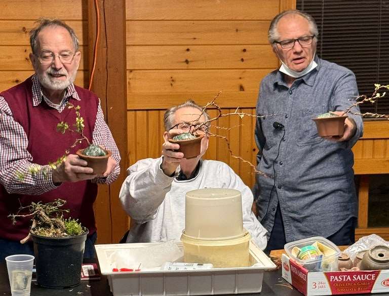 2024年纽约上州盆景协会 2月份的会议