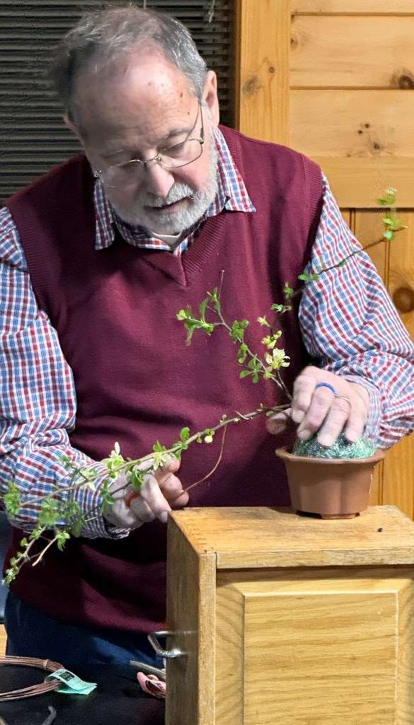 2024年纽约上州盆景协会 2月份的会议