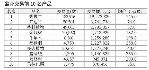 2024年3月台北花卉市场盆花 切花行情