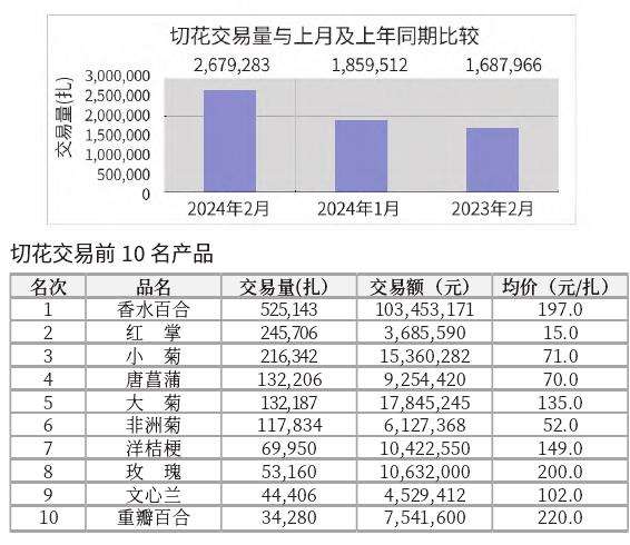 2024年2月台北花卉市场盆花 切花行情