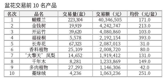 2024年1月台北花卉市场盆花 切花行情