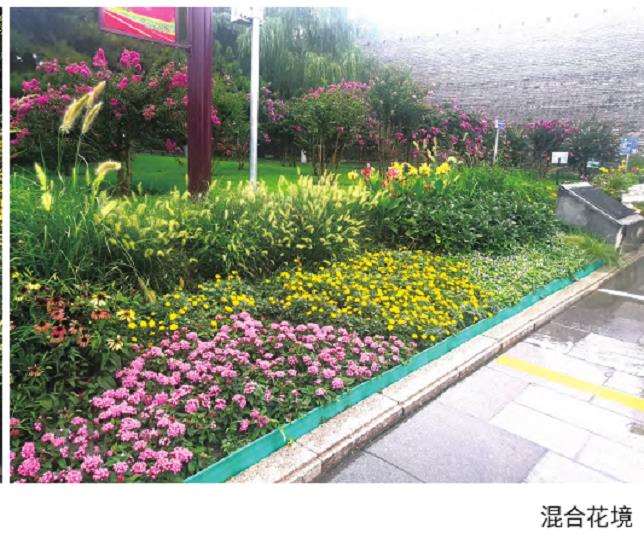 北京明城墙遗址公园植物景观的布置方法