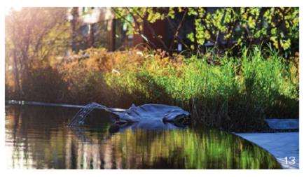 元中心景观设计创作复盘