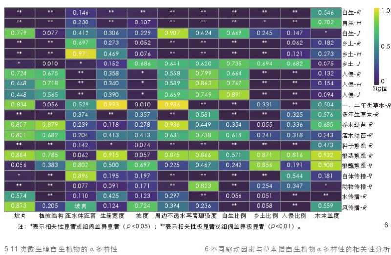 哈尔滨城市河流廊道草本层自生植物多样性及分布特征