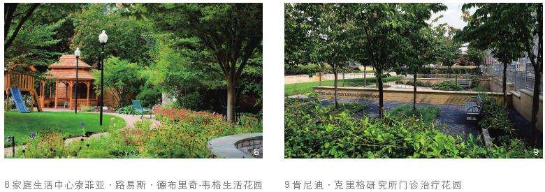 疗愈花园类型