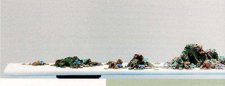 瞿文华盆景作品