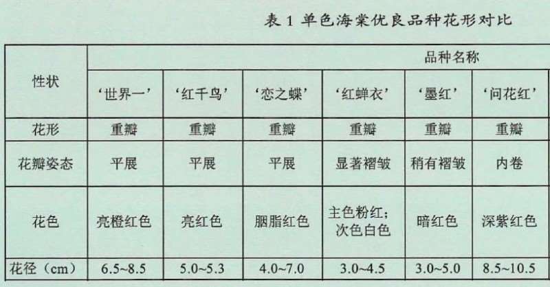 沂州海棠优良新品种花形对比图片